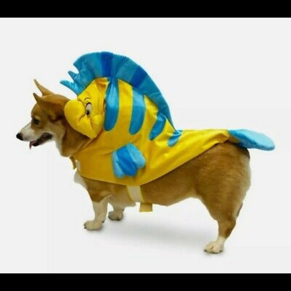 NWT Disney flounder pet costume